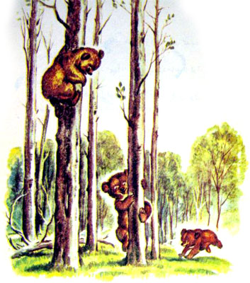 قصه کودکانه ماجرای سه بچه خرس-داستانهای مصوّر رنگی برای کودکان -ارشیو قصه و داستان ایپابفا